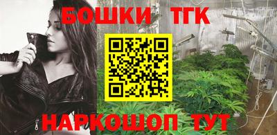 гашик Волжский