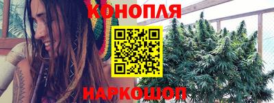гашик Волжский