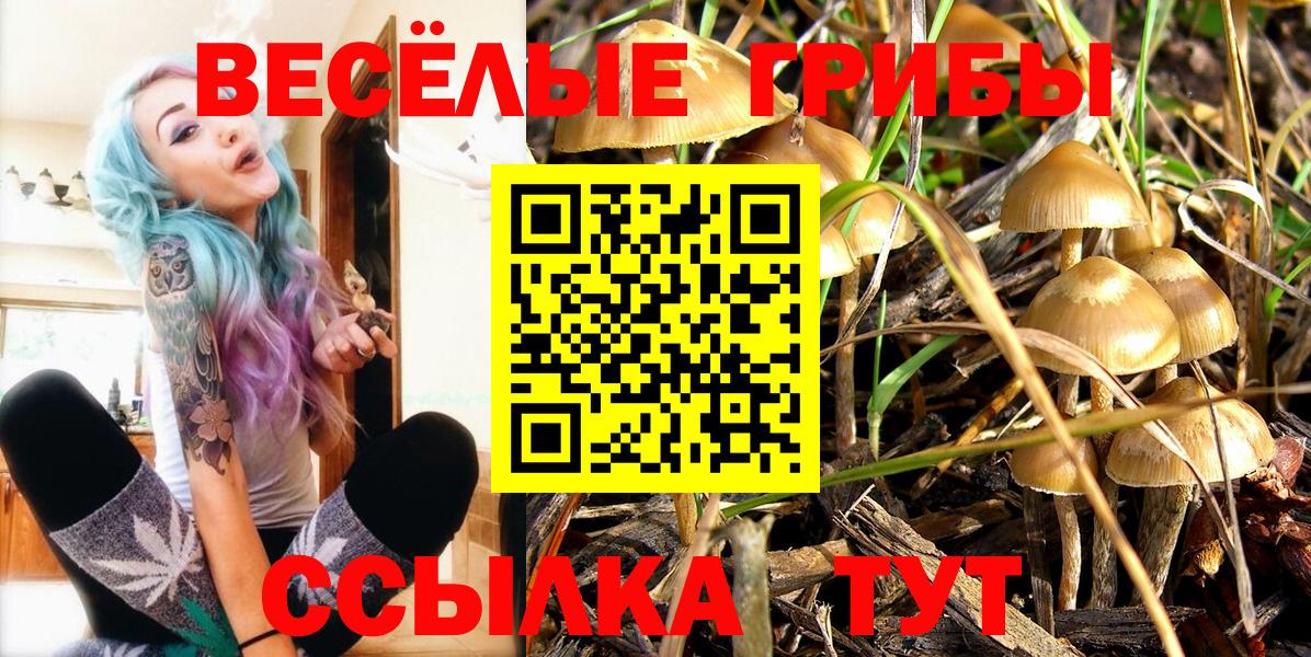 Псилоцибиновые грибы мицелий Россия