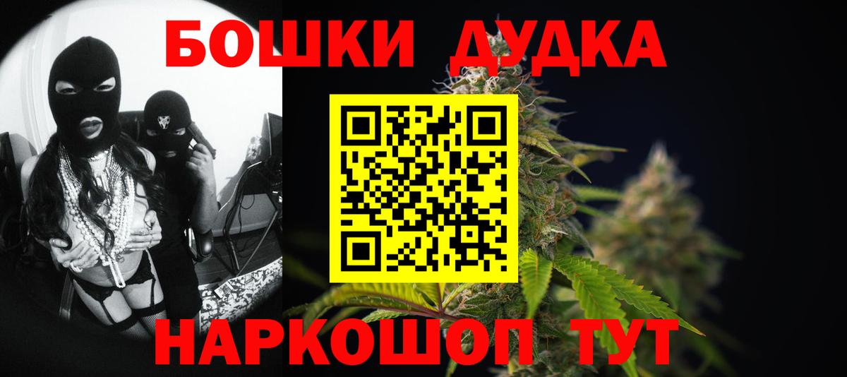 Каннабис сатива Россия